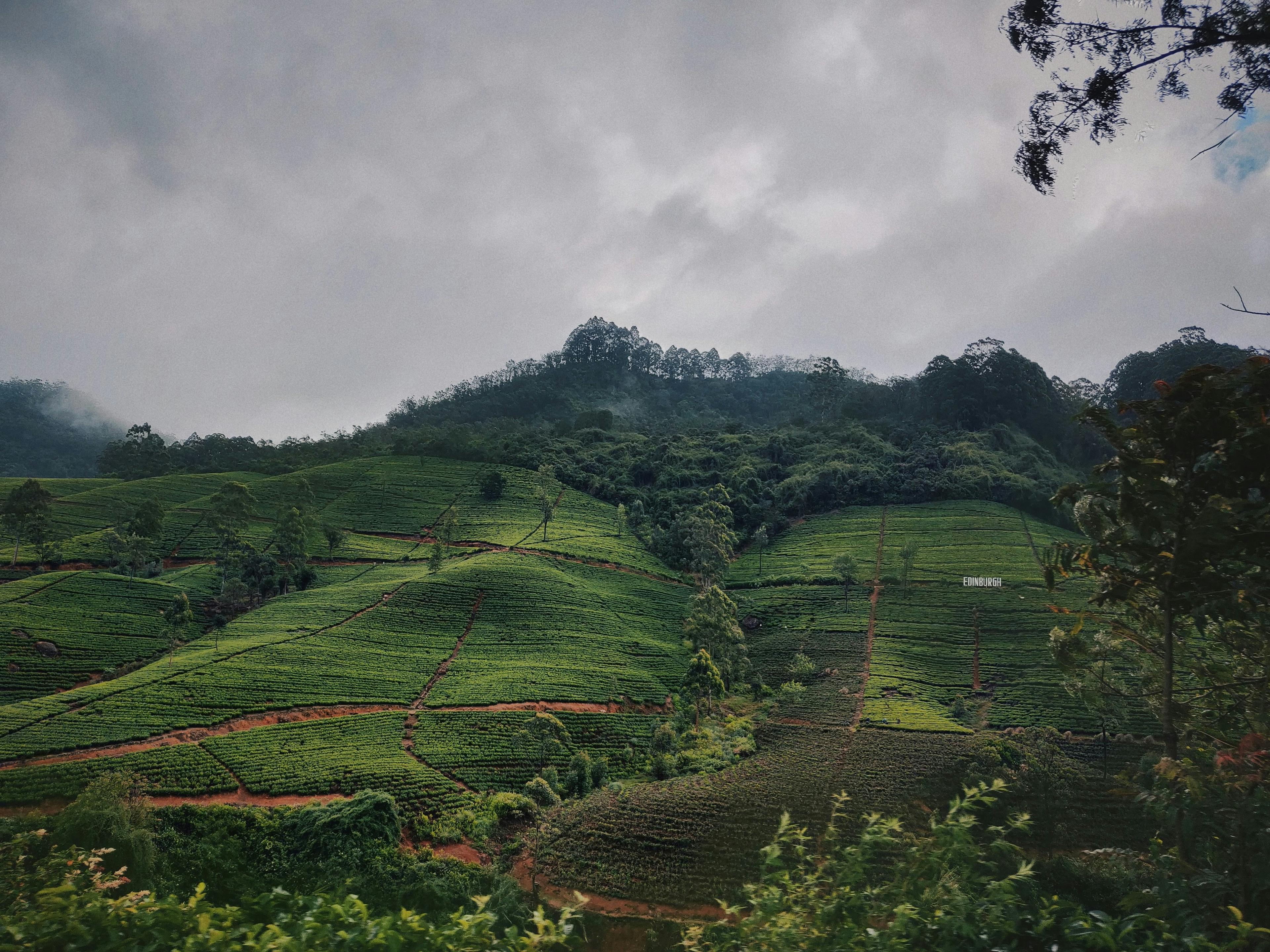 Nuwara Eliya